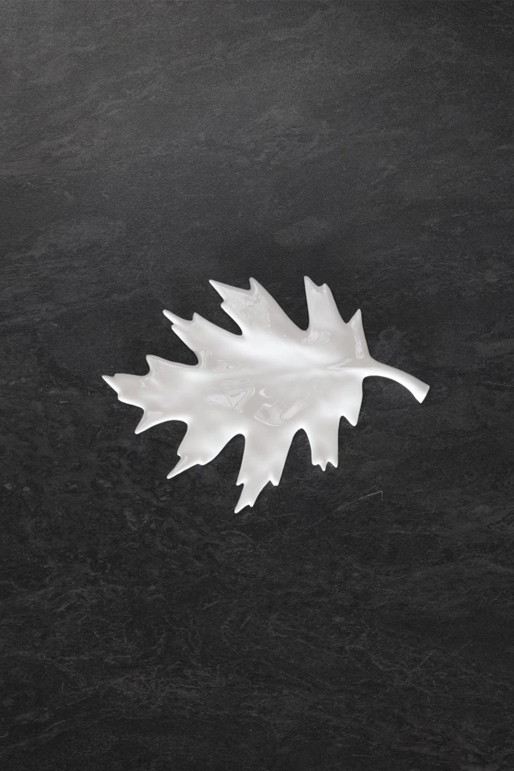 Feuille de Chêne