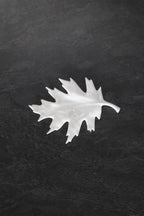 Feuille de Chêne