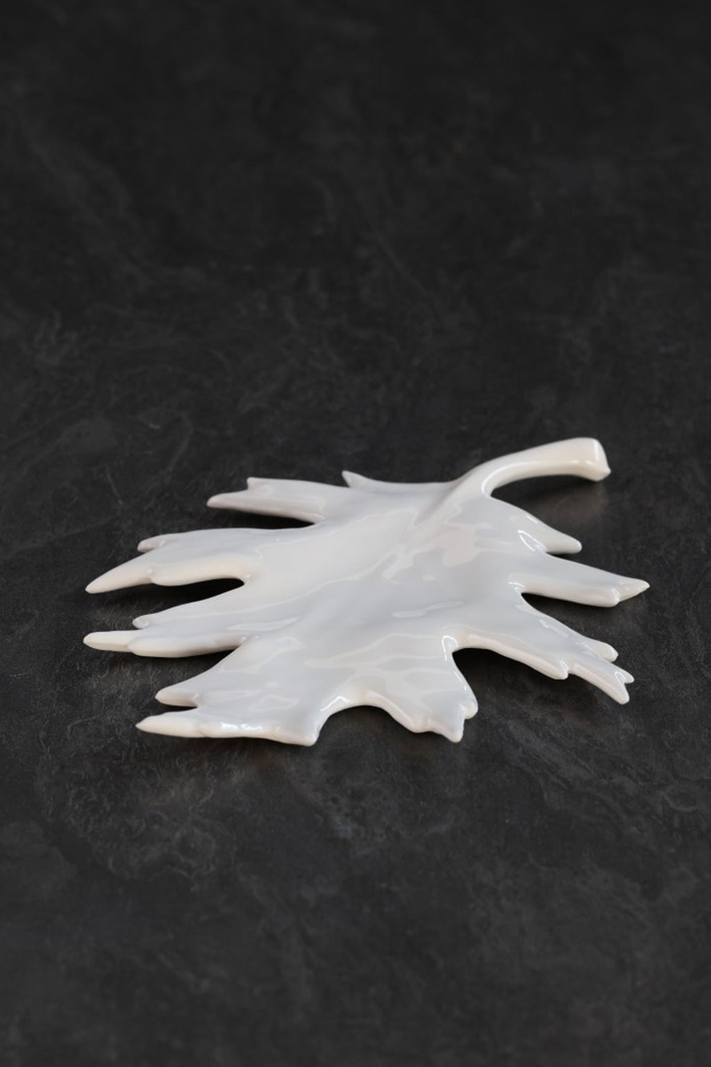Feuille de Chêne