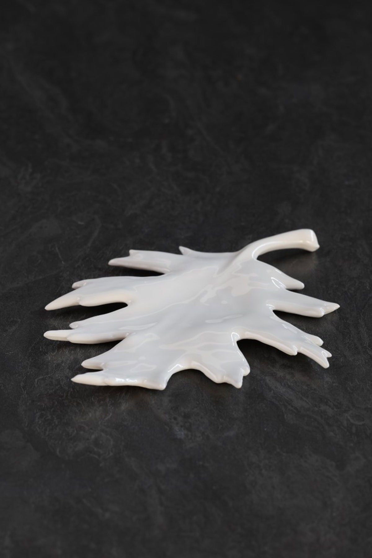 Feuille de Chêne