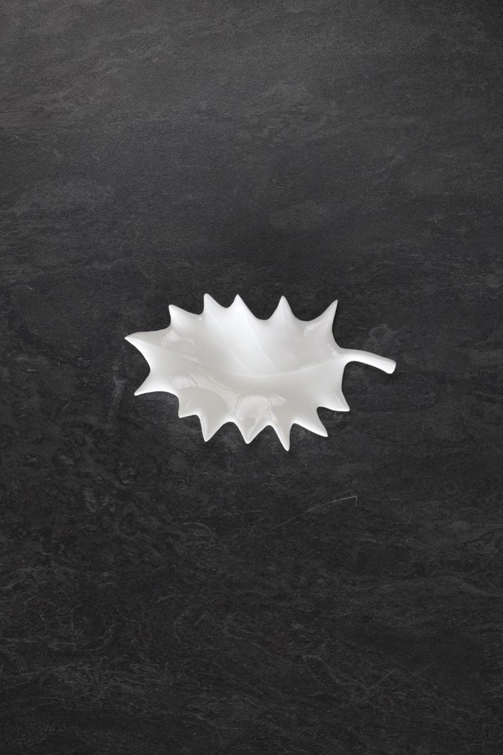 Feuille de Houx