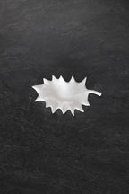 Feuille de Houx