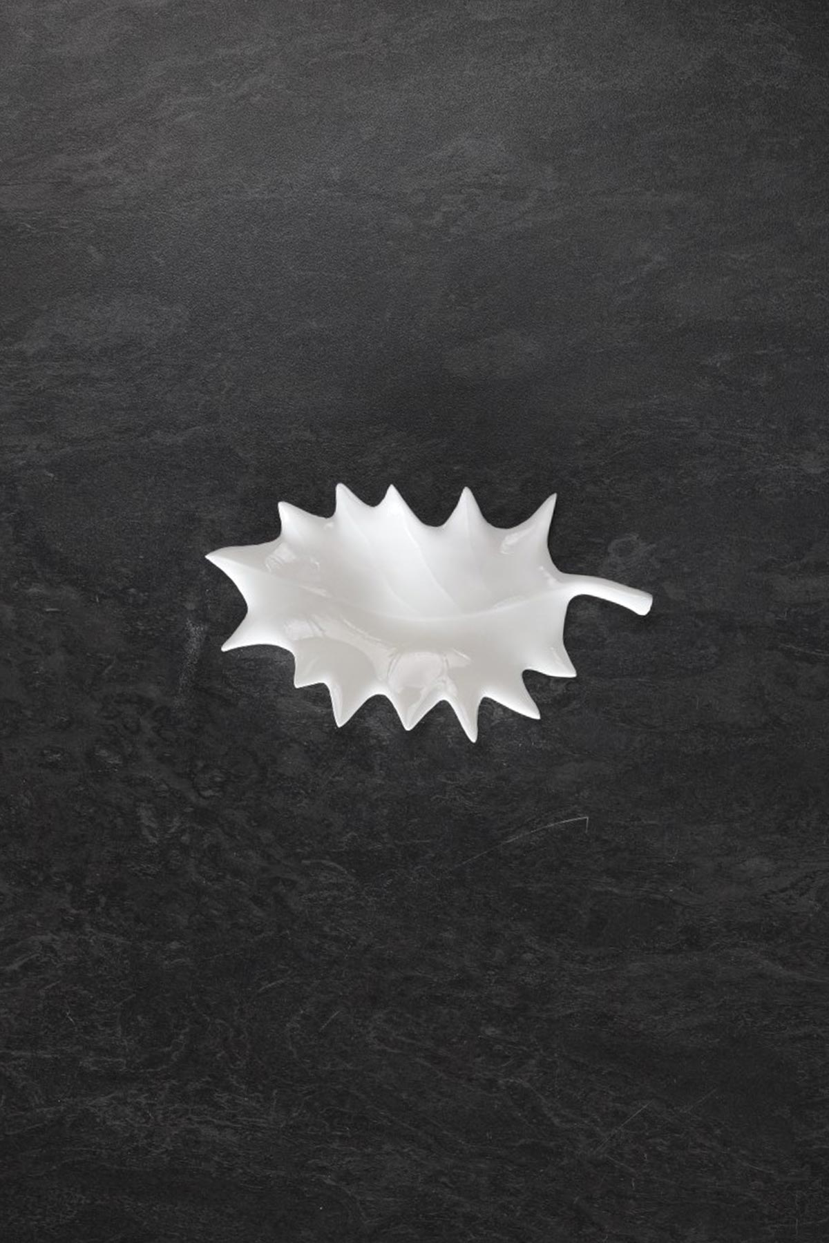 Feuille de Houx