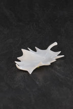 Feuille de Houx