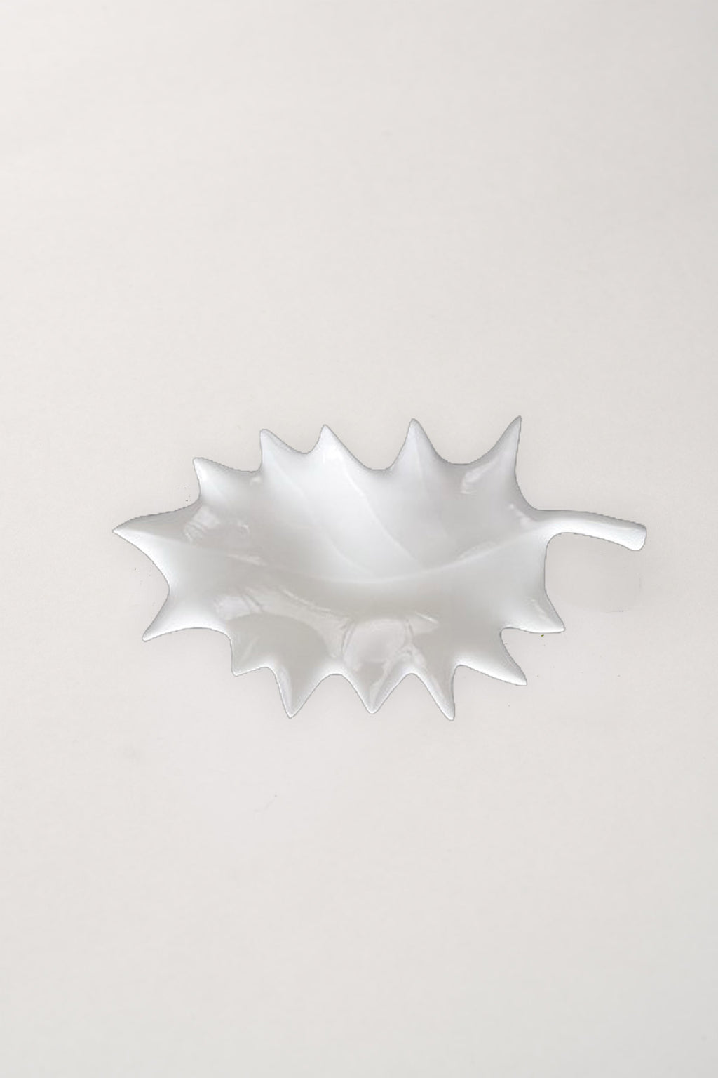 Feuille de Houx
