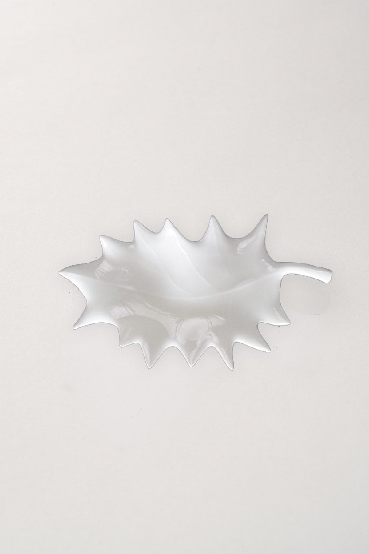 Feuille de Houx