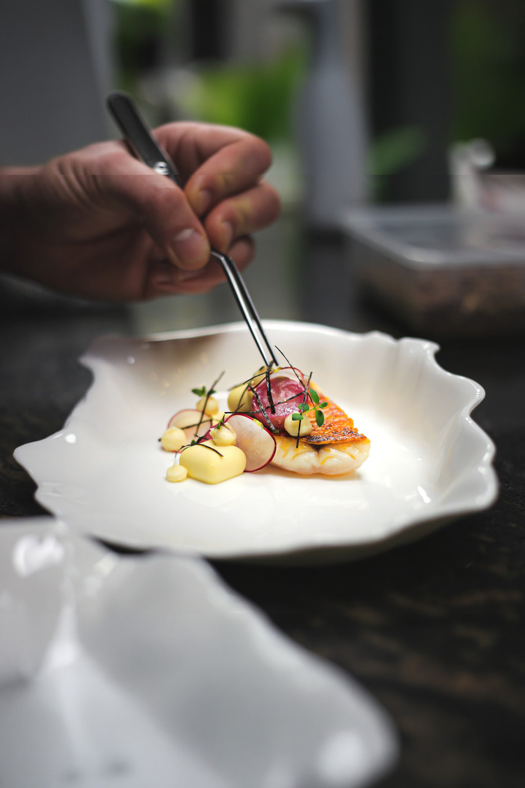 Assiette Huître